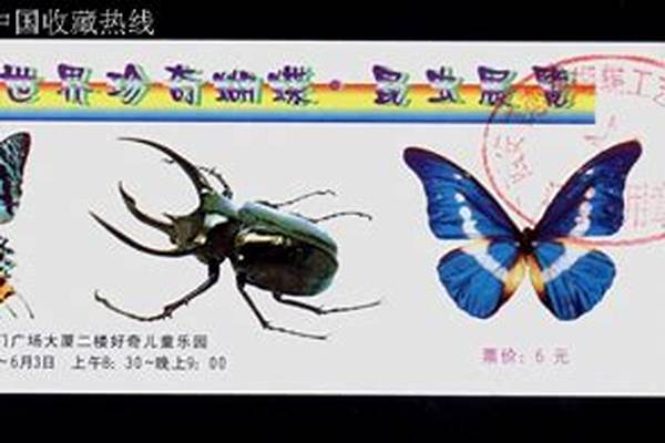 参观大型世界珍奇昆虫展 作文
